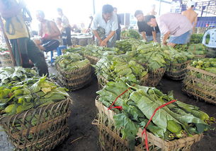 建綠色通道穩菜價 市長致電求援陜西省長，保障新鮮蔬菜批發供應