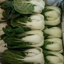 云南昆明晉寧區(qū)黃佑正蔬菜批發(fā)部 新鮮蔬菜批發(fā)的一站式選擇