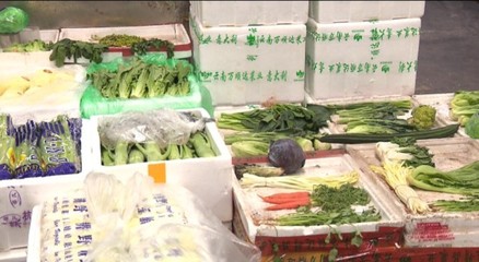 宅家買菜不用怕 浙江各地全力保障“菜籃子”供應 新鮮蔬菜批發