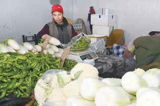 走市場，探探市民的菜籃子 新鮮蔬菜批發的溫度與變遷