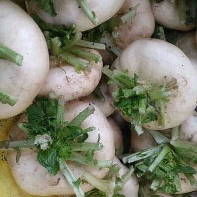 山東臨沂蘭山區優質盤菜批發，溫州新鮮盤菜5斤裝僅32元/件