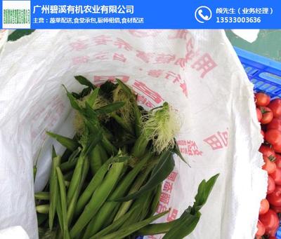 增城蔬菜配送選哪家？碧溪餐飲以新鮮與專業領跑行業